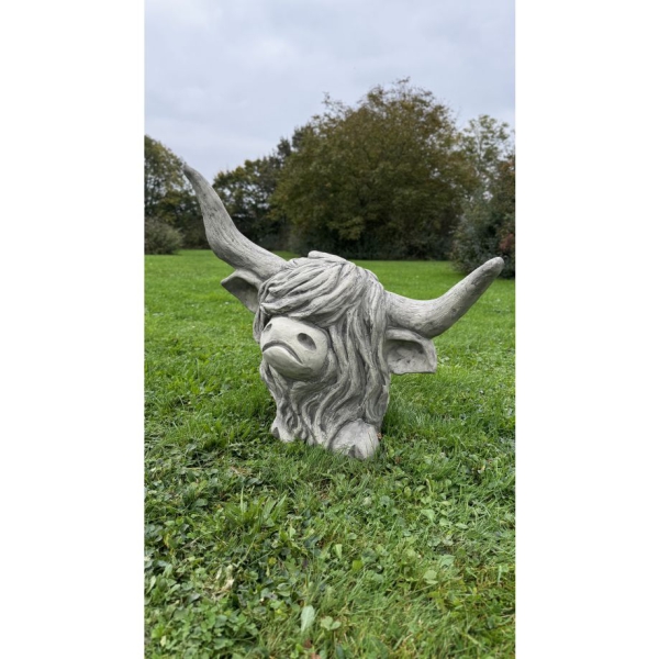 Westhighland Rind Archie